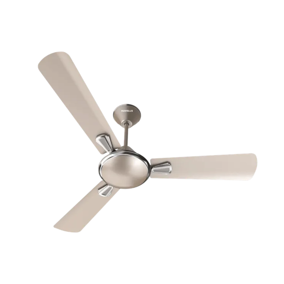 Lost & Found Inventory_314515